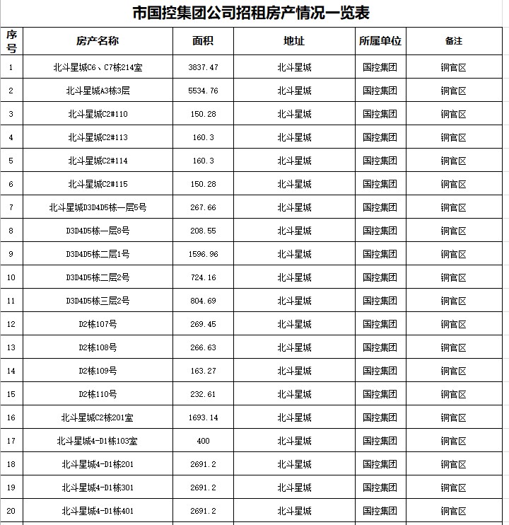 國控閑置房產表1.PNG